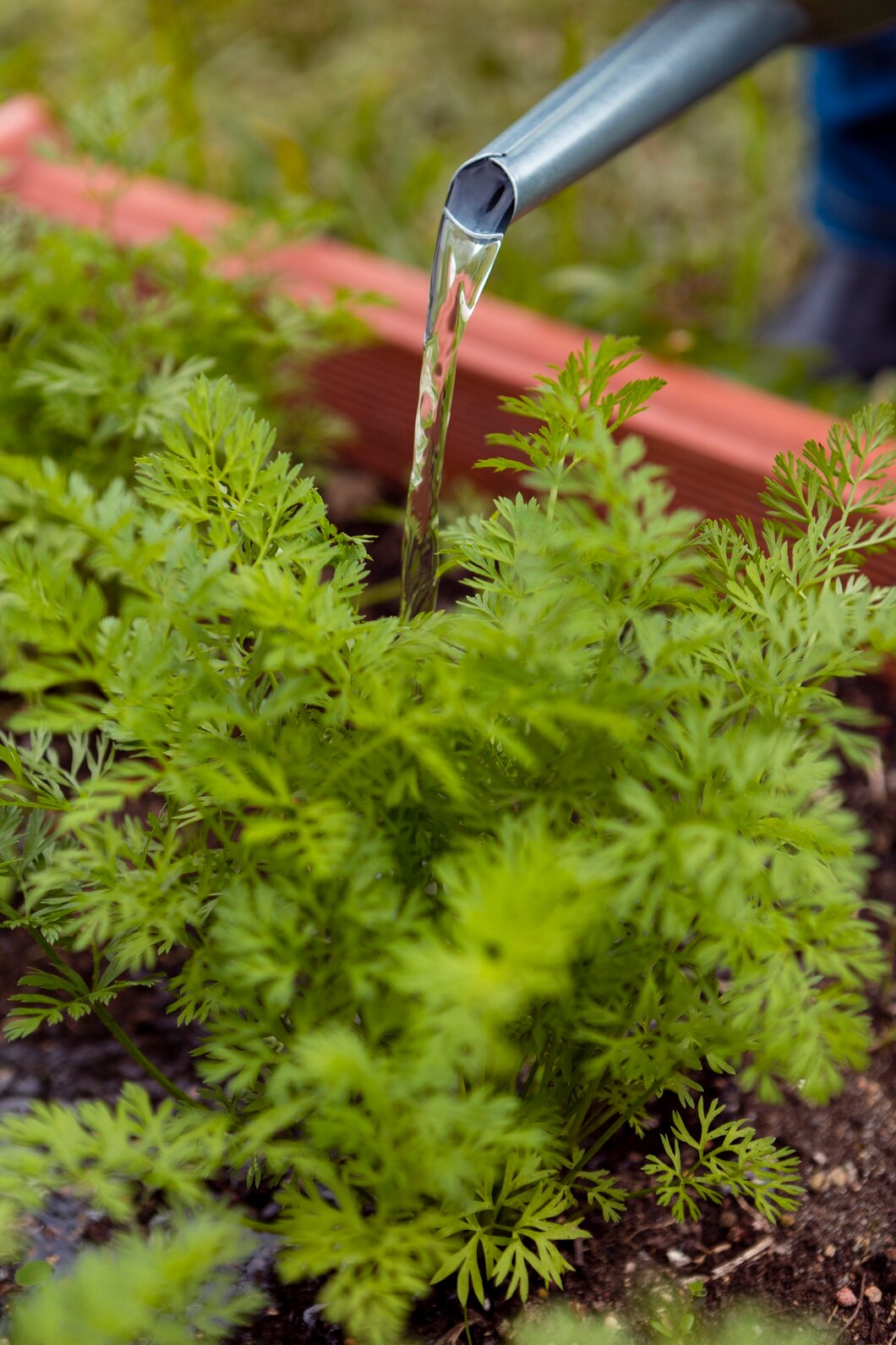 راهنمای انتخاب لوله کشاورزی مناسب